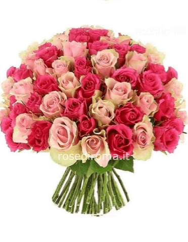 Bouquet di 100 roselline colori rosa e fucsia stelo 40 cm